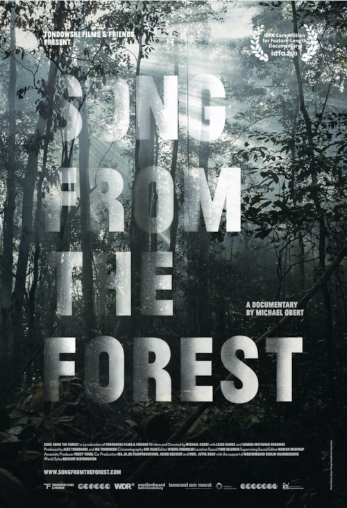 Song from the Forest poster